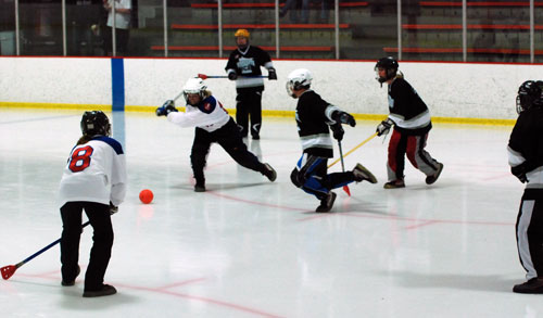 Women's Broomball National Tournament